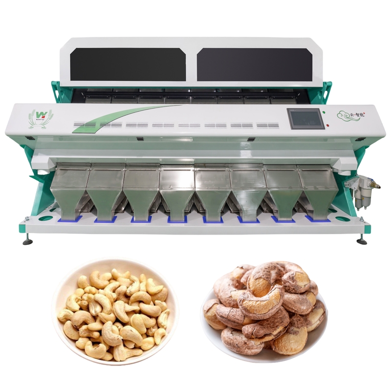 Máquina de classificação de cores de castanha de caju CCD Câmera Classificador de cores inteligente para feijões de nozes