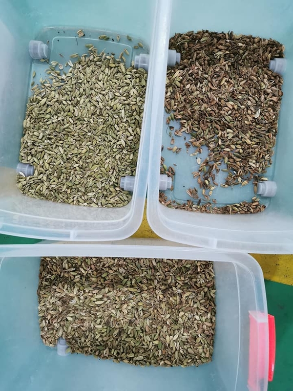 Wenyao Máquina Profissional de Classificação de Cores Automática Classificadora de Cores de Cardamomo