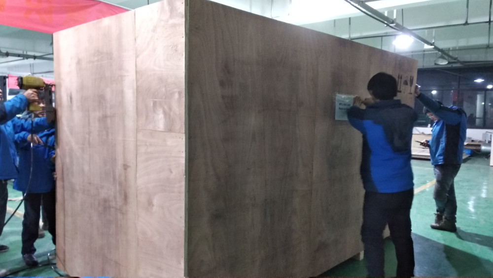 WenYao Sementes de Amendoim Peônia cenoura Melancia Sementes Color Sorter Máquina de Seleção de Sementes Máquina de Seleção de Cor