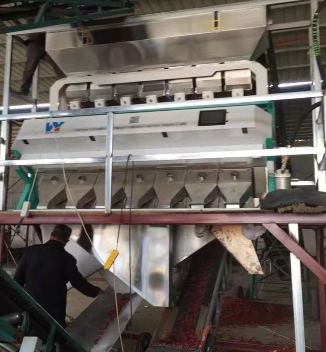 WenYao Máquina de triagem de cores de grande capacidade Cravos Cardamomo Cuminha Pimentão Semente Máquina de triagem de cores