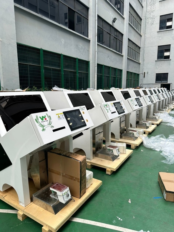 Máquina de classificação de cores de nozes profissional Equipamento de classificação Máquina de classificação de cores