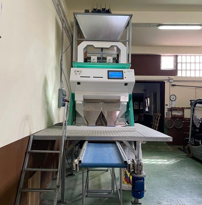 Wenyao Professional Feijão Color Sortador Cardamomo Color Sorting Machine