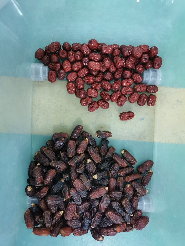 Máquina de classificação de cores de jujuba vermelha