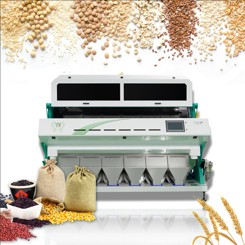 Sorteador de cores ópticas de grãos de trigo moído, limpeza de café, sorteador de cores, máquina de classificação, sorteador de cores, separador de trigo, milho de cevada