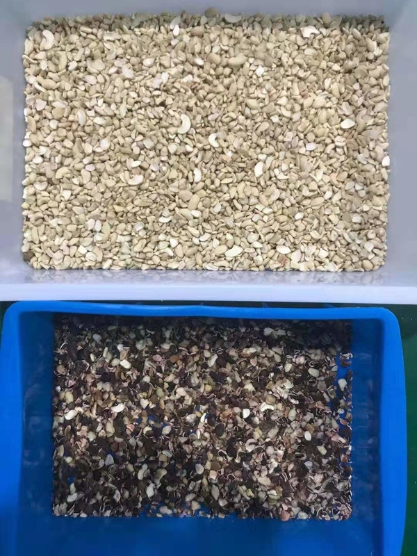 Máquina de classificação de cores de nozes profissional Equipamento de classificação Máquina de classificação de cores