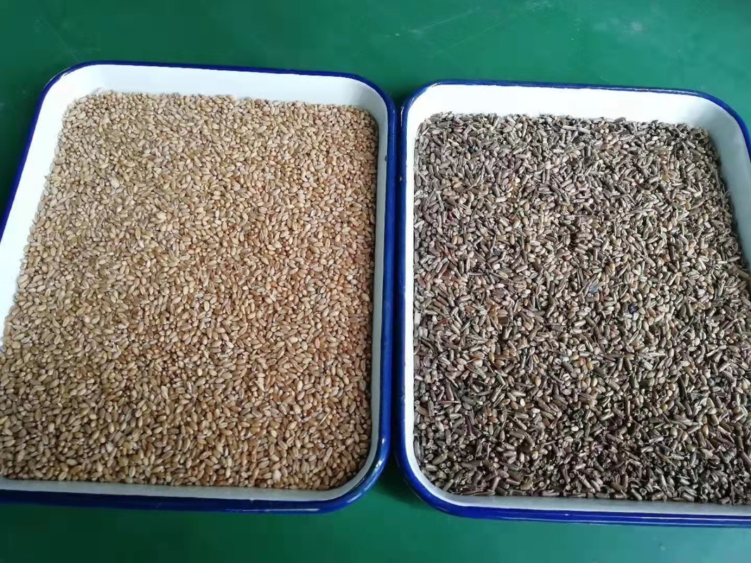 Alta precisão de classificação de cores de trigo / classificação de cores de grãos Design ergonômico leve Baixo nível de ruído