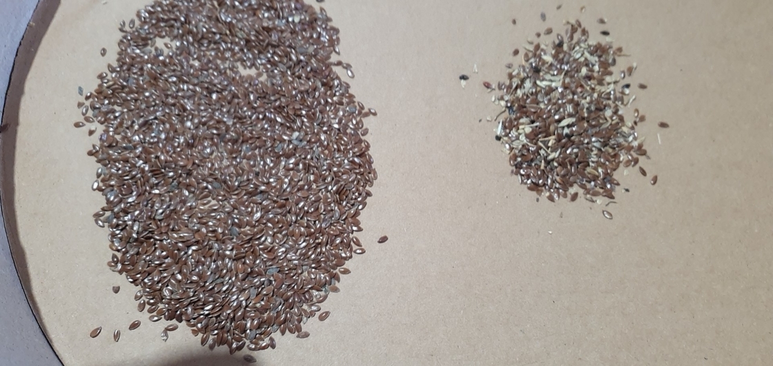 Wenyao fábrica chinesa venda direta 4 chute sementes de linho color sorter sementes máquina de classificação de cor
