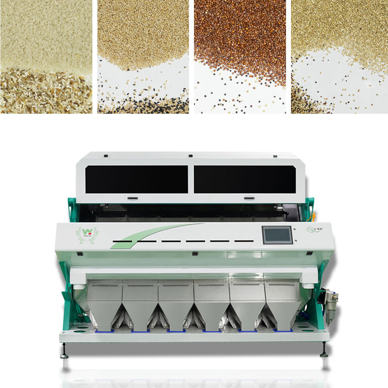 Máquina de classificação de cores de sementes de linho