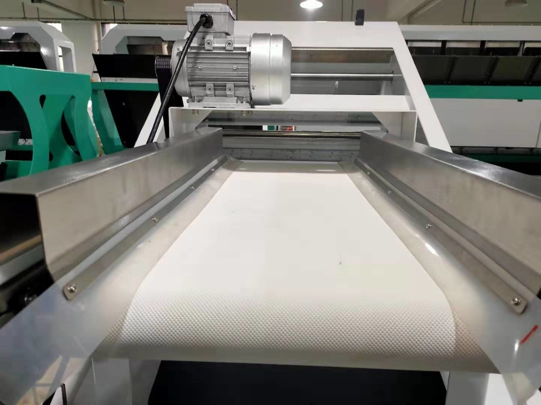 Máquina de classificação de cores de mirtilo Mini cinturão de coloridor para frutas frescas
