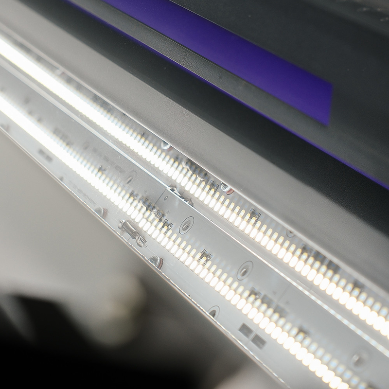 China Máquina profissional de triagem de cores de arroz LED
