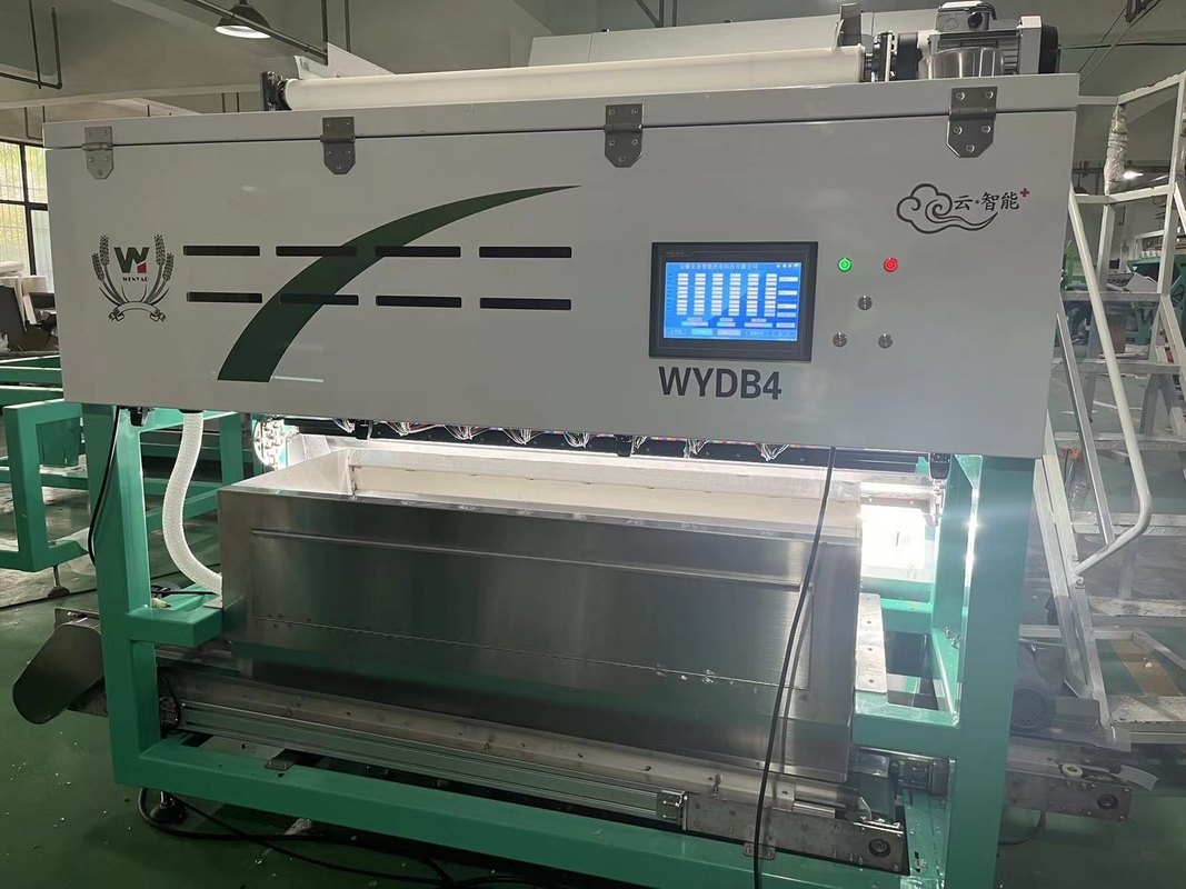 Wenyao Strawberry Color Sorter Intelligent Belt Color Sorting Machine para Frutas congeladas Café Cereja Blueberry Morango