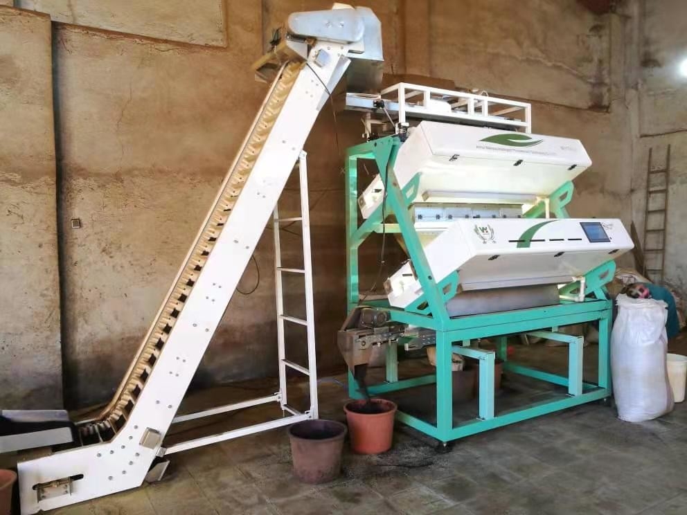 Máquina de triagem óptica de chá para processamento de chá