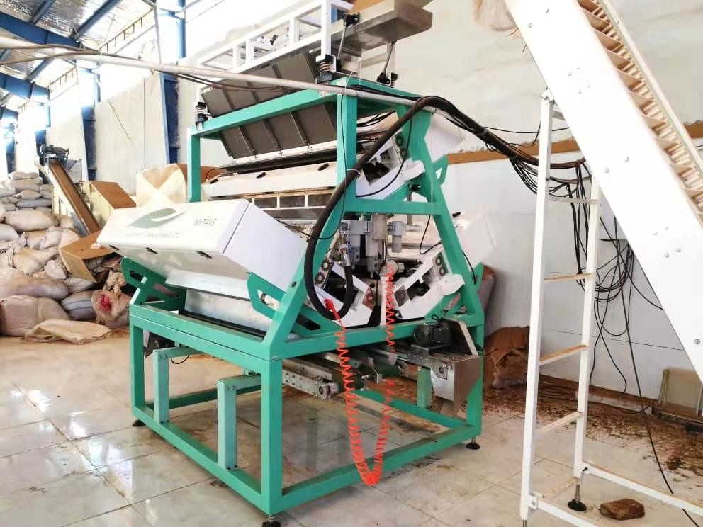 Wenyao LED Máquina de Seleção Óptica de Chá Verde, Equipamento de Processamento de Folhas de Chá