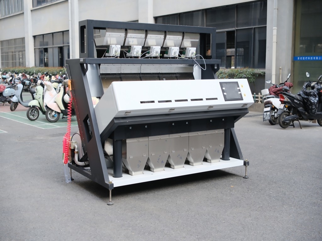 Máquina de triagem de frutos secos de macadâmia de grande capacidade Máquina de triagem de cores de amêndoas