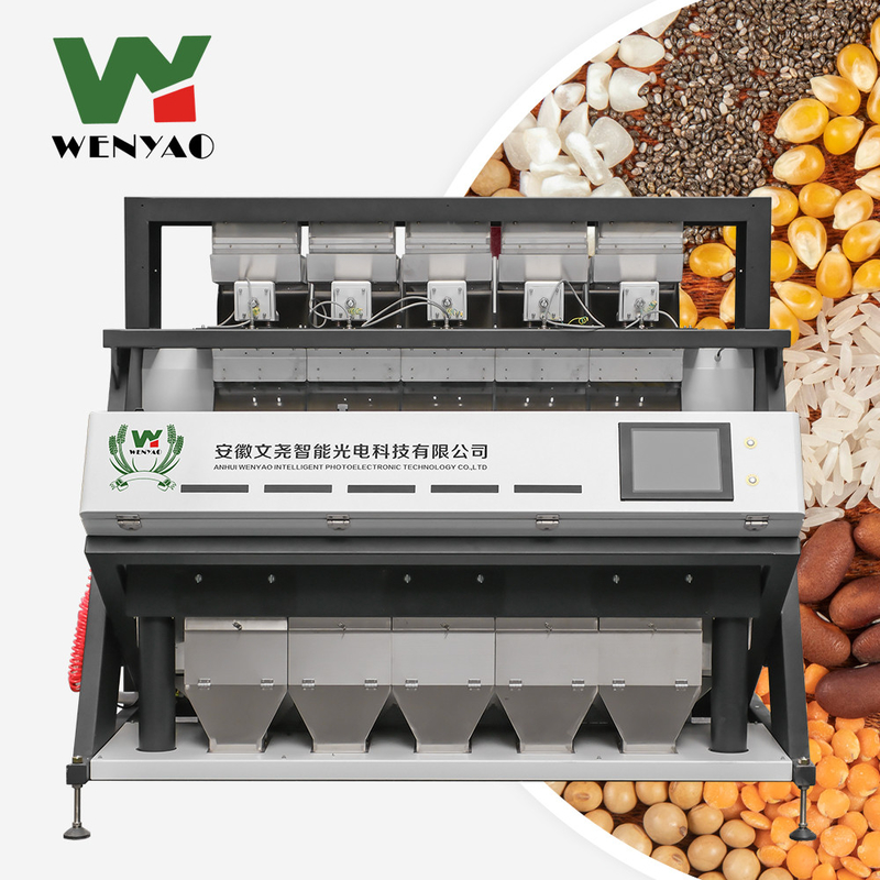 Máquina de triagem de frutos secos de macadâmia de grande capacidade Máquina de triagem de cores de amêndoas
