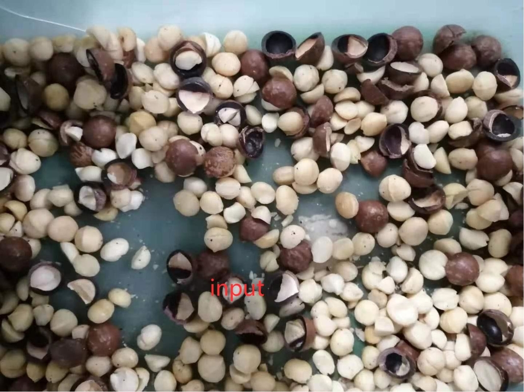 Máquina de triagem de frutos secos de macadâmia de grande capacidade Máquina de triagem de cores de amêndoas