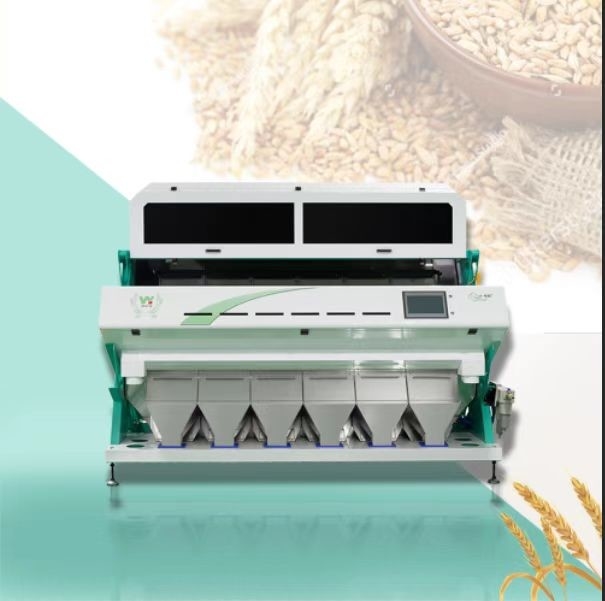 Máquina de classificação de cores de figos de peru avelãs Arroz CCD Grão de café Amendoim Sorteador óptico de cores