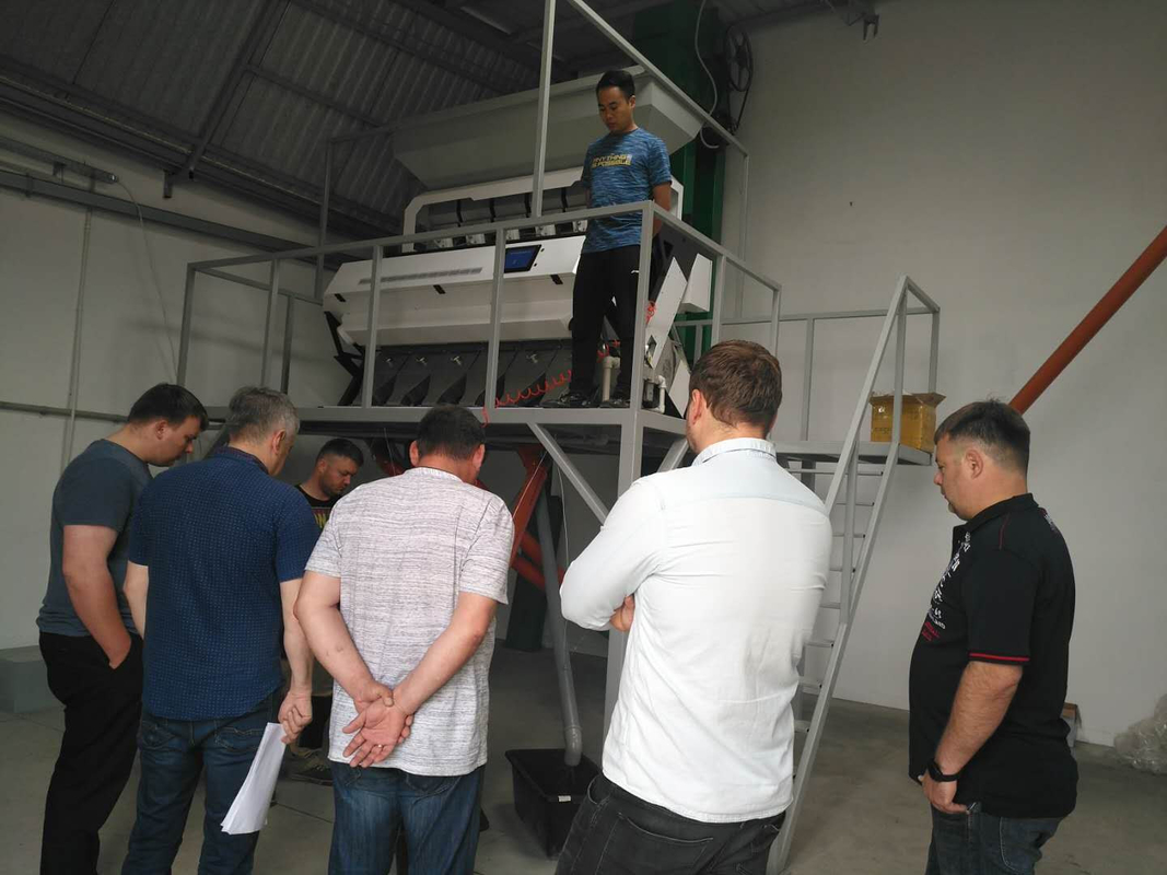 Máquina de classificação de cores de figos de peru avelãs Arroz CCD Grão de café Amendoim Sorteador óptico de cores