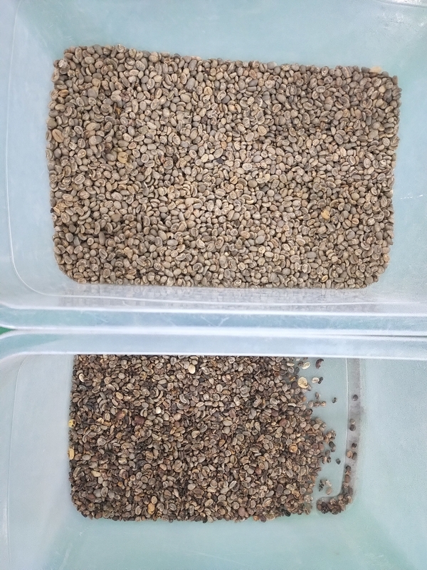 Máquina de classificação de cores de grãos de café