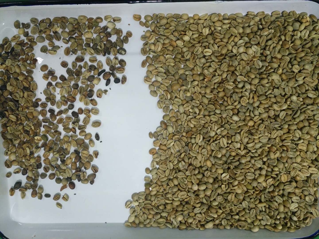 Wenyao 5 Chute Multifunção Máquina de Seleção de Cor Óptica de Grãos de Café