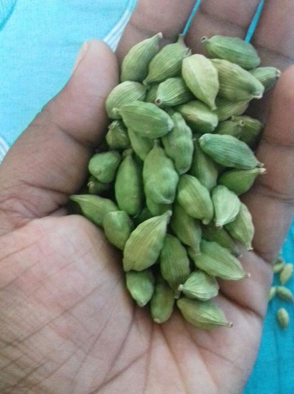 Wenyao 3 Chute Máquina Inteligente de Classificação de Corn Bean Cardamom