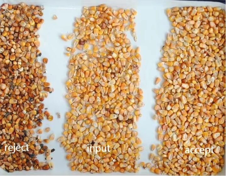 Máquina de classificação de cores de grãos de alta capacidade para sementes de milho