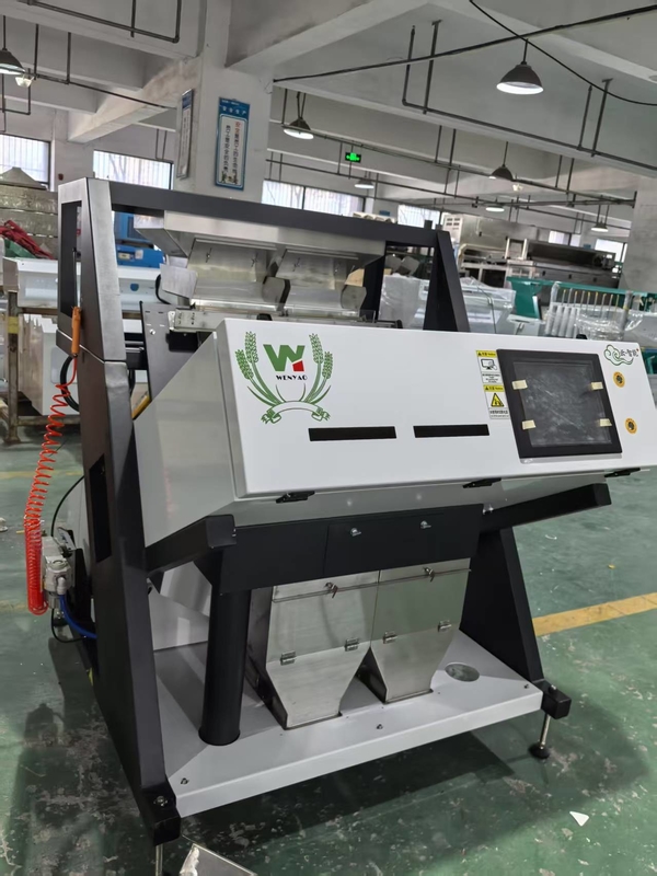 Wenyao Tecnologia mais recente Ccd Câmera Sementes de Sésamo Color Sorter Tamarinda Sementes máquina de classificação