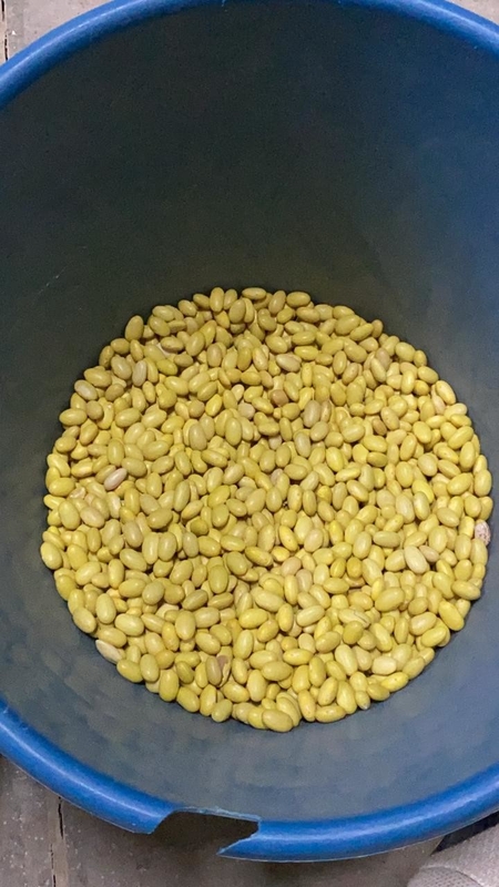 Wenyao fábrica chinesa venda direta 4 chute soja feijão máquina de triagem de cores