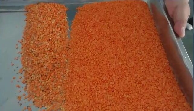 Wenyao Máquinas de processamento de culturas agrícolas Ordenador óptico de cores para lentes Separador de cores