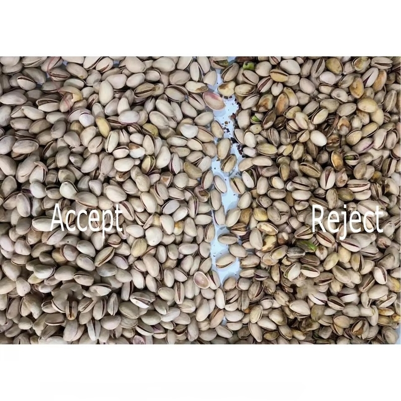 AI Aprendizagem Cinturão Inteligente Estilo Amendoim Nozes Pistache Nozes Color Sorter Machine
