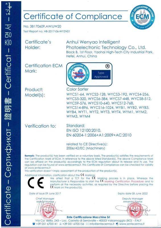Wenyao 10 Chute High Technology AI Learning ABS PVC PET Máquina de classificação de cores de plástico