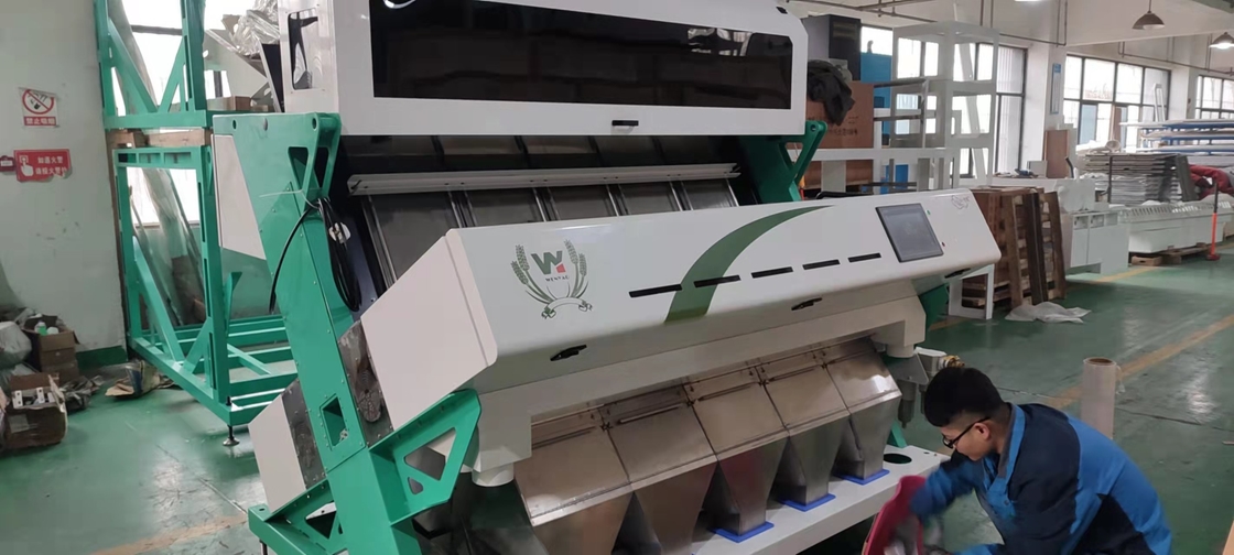 Máquina de classificação de cores de plástico Máquina de classificação de granulados de plástico para animais de estimação
