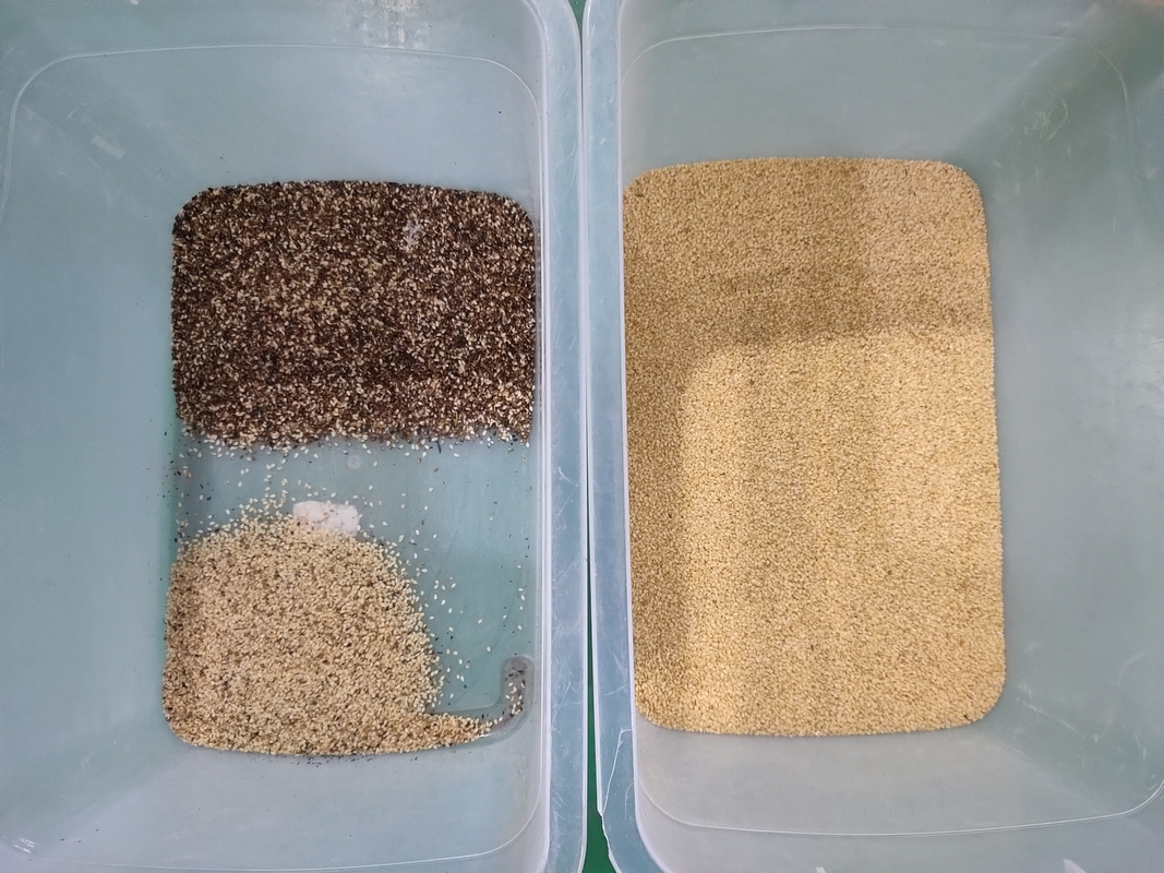 WENYAO Auto-limpeza de alta velocidade para grãos de arroz, grãos de soja, operações de triagem, máquina de triagem de cores