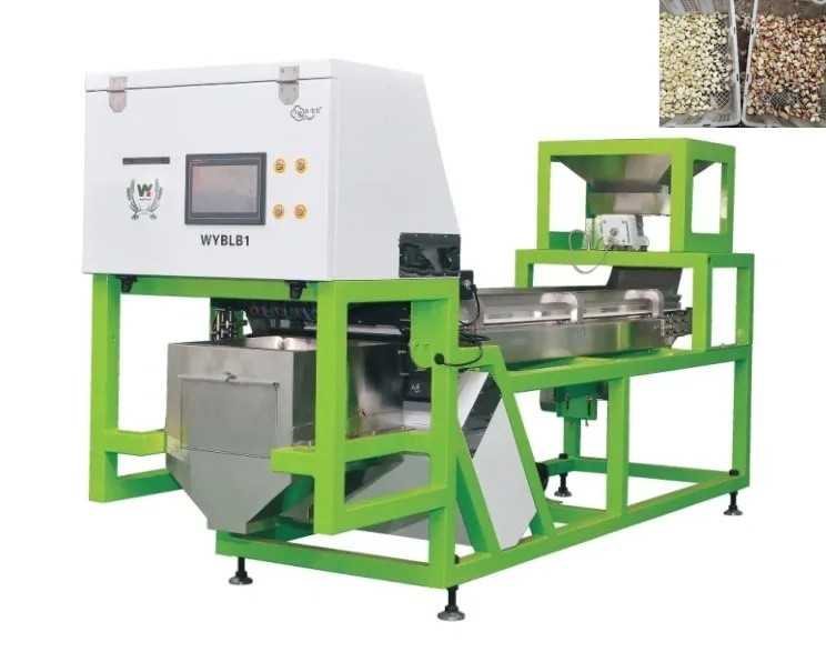 Máquina de triagem de cravo de alho