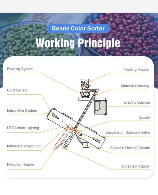 Processamento de Grãos Classificador de Cor de Arroz Tipo Calha Óptica