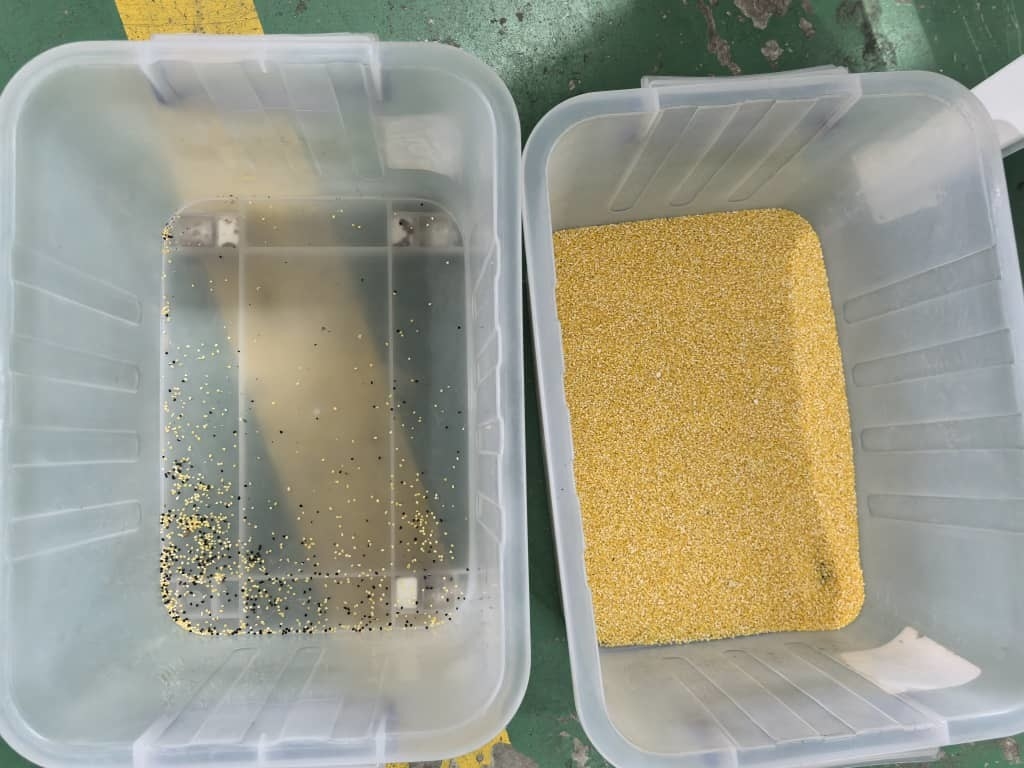 Separador de cores de grãos de alta precisão de 2 canais para goma de pêssego, cor de grão de olíbano árabe