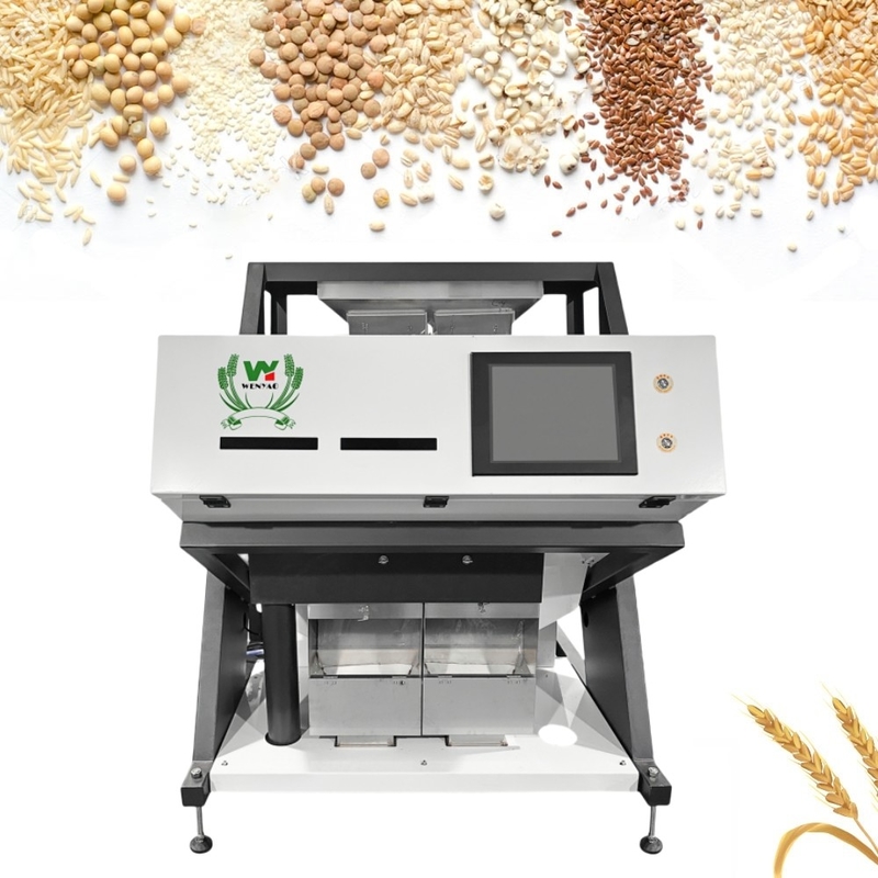 Wenyao 2 Chute 128 canais Máquina de seleção de cores de grânulos de coco inteligentes