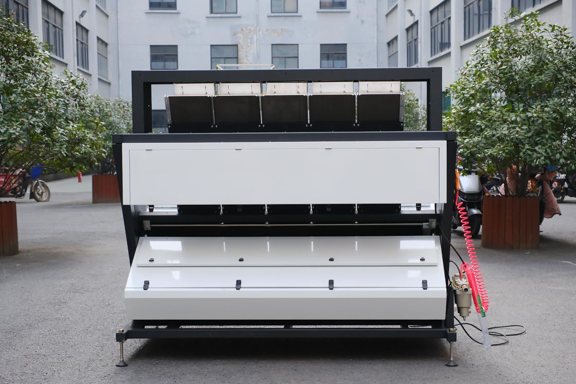 Wenyao 5 Chute Máquina de classificação de cor de feijão de cardamomo