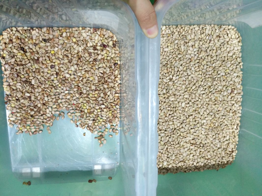 Wenyao Máquina de triagem óptica de alto desempenho