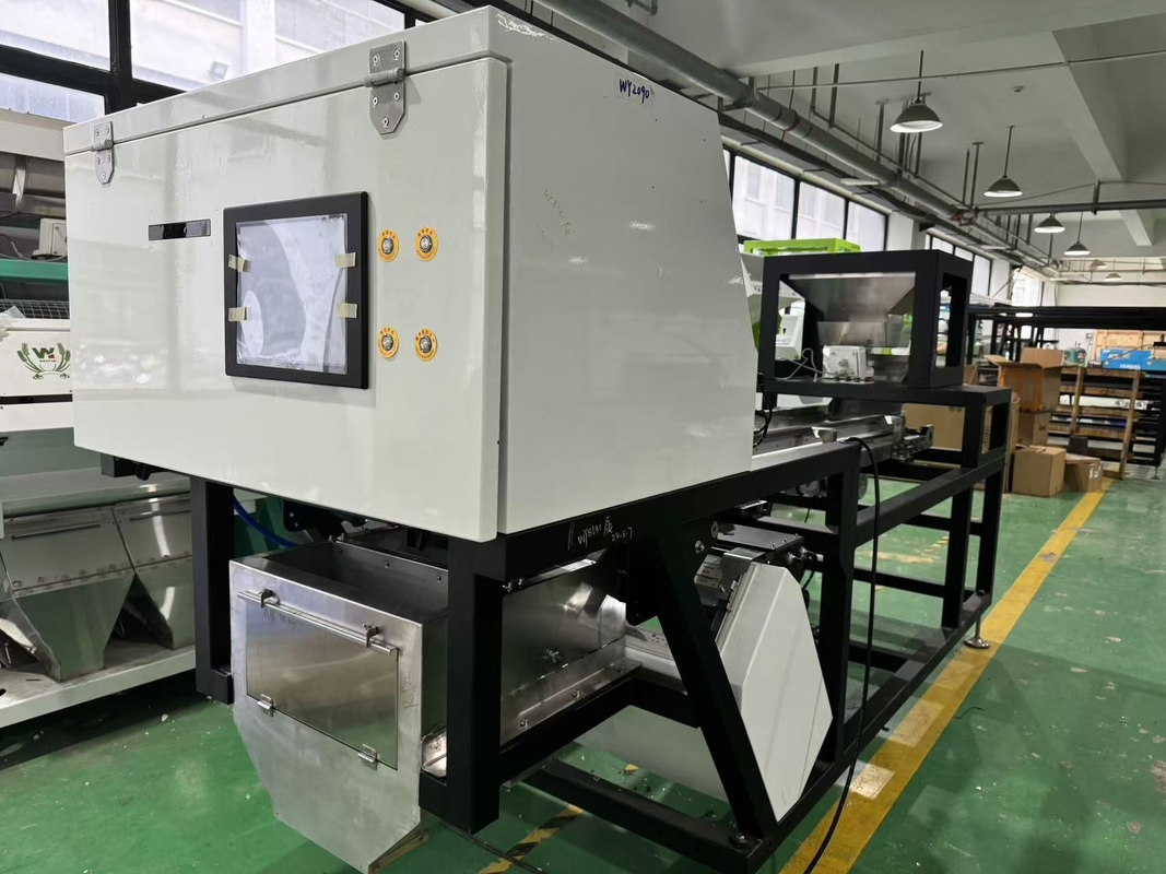 CCD Camera Optical Garlic Colour Sorting Peeling Garlic Removing Spotted Machine Walnut Garlic Cherry Coffee Color Sorter Machine with CE