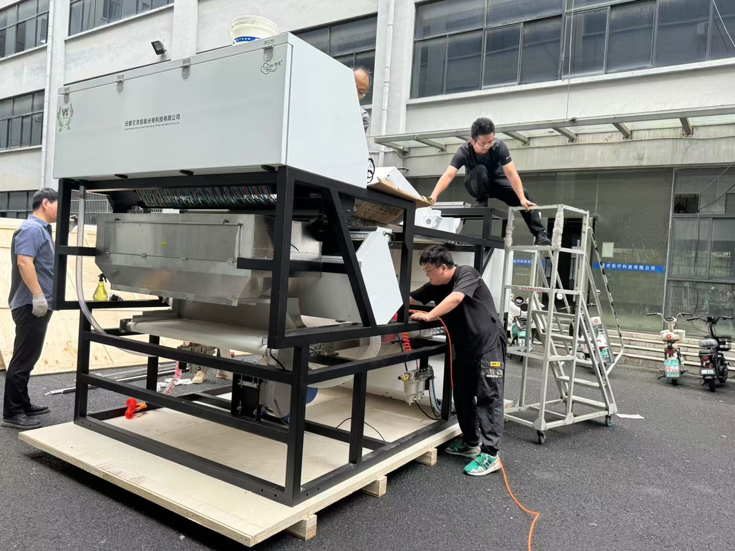 WYDB4 Separador de cores de feldspato de potássio Quartz areia de pedra 10-20tons por hora Máquina de triagem de cores de rastreador