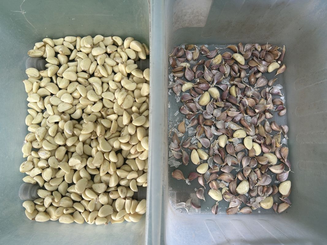 Máquina Separadora de Cor de Minério de Operação Simples para Cintos de Minério Mineral