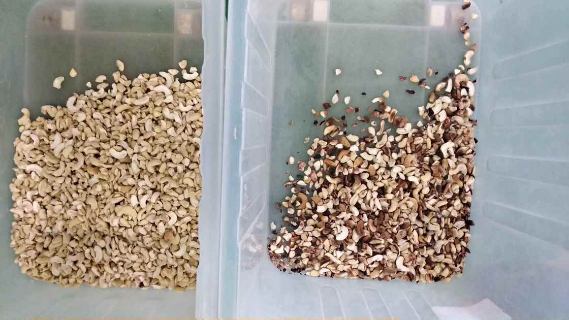 Máquina de Seleção por Cor Óptica por Correia para Amendoim, Castanha de Caju e Nozes para Processamento Agrícola com Câmera CCD