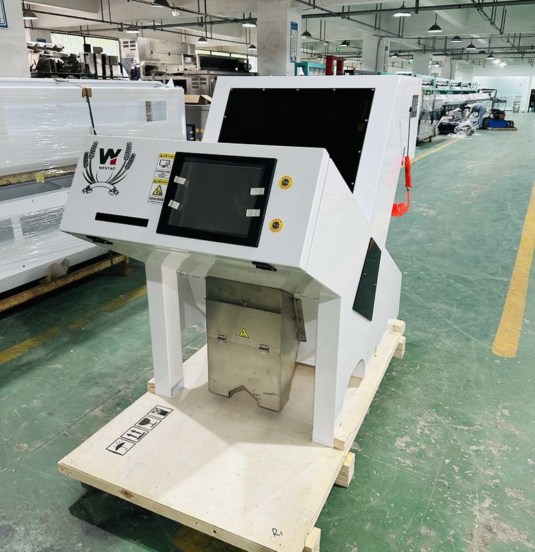 Máquina automática de classificação de cores de macadâmia