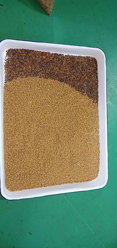 2000Kg/h Peru Quinoa Classificador Óptico Máquina de Classificação de Cor Completa CCD para Grãos Andinos