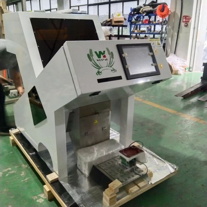 WENYAO 1 Máquina de Classificação Óptica por Cor para Castanhas Secas Desidratadas