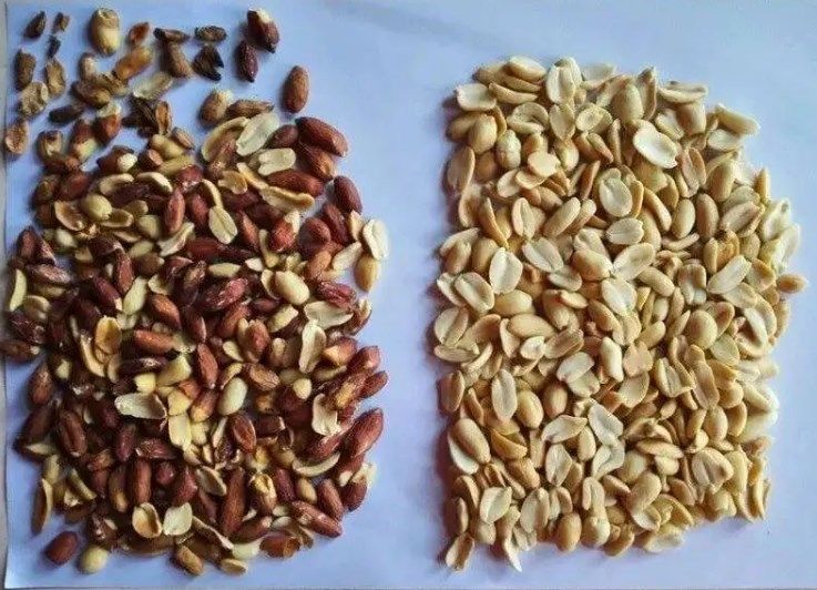 Classificador da cor da porca da amêndoa da máquina de classificação da cor da câmera do CCD da cor completa da função de Wenyao Multi