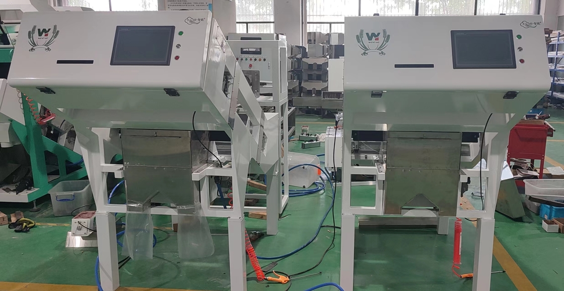 Wenyao CCD Máquina de triagem de cores ópticas para grãos de café grãos de arroz