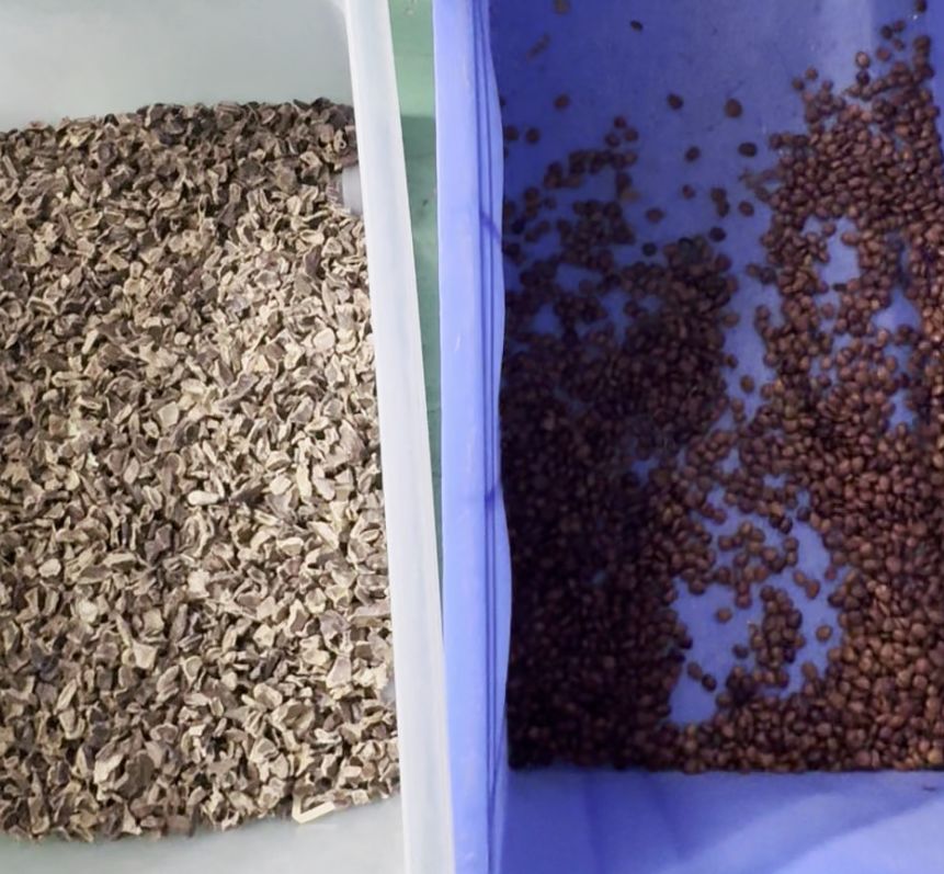 Máquina de Classificação de Cor de Sabão de Câmera CCD Inteligente de Alta Tecnologia com Dupla Correia Wenyao