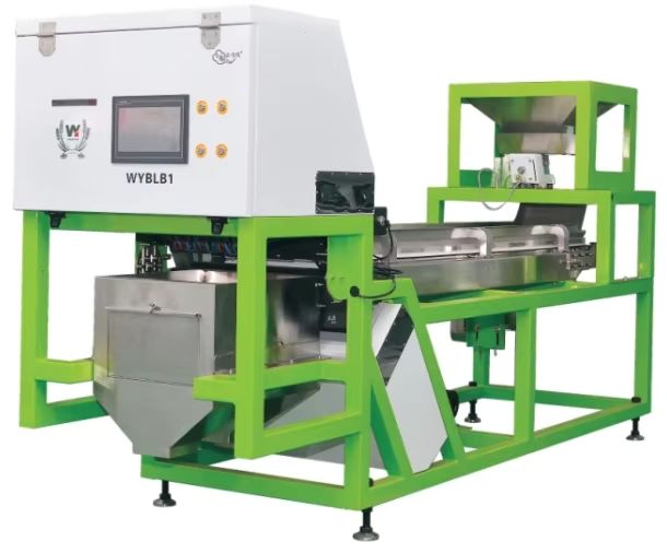 Wenyao Separação automática de cores Maquina de classificação de cores de mirtilos frescos